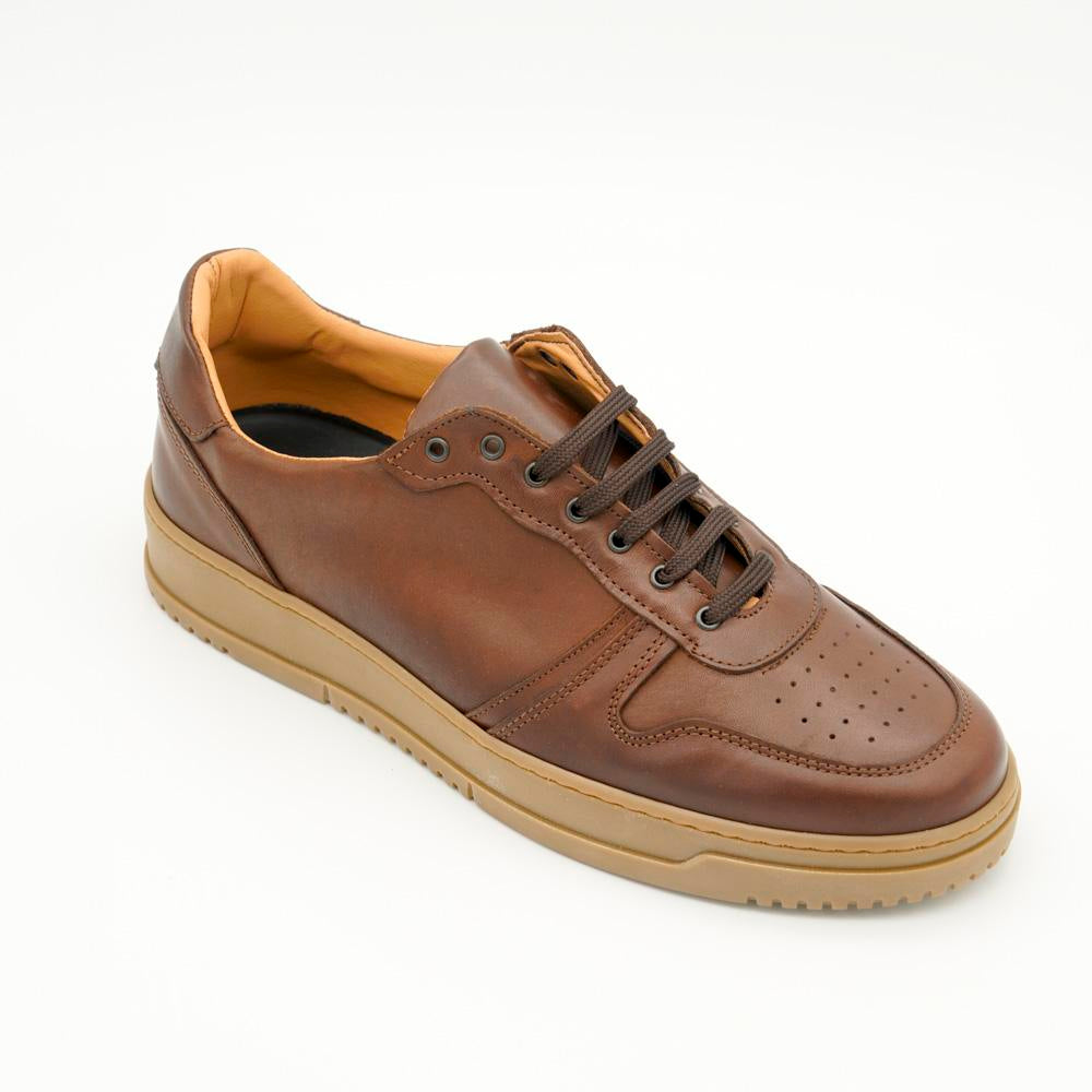 03871_14|35691480c5fcb5949b78794a1b4237b0